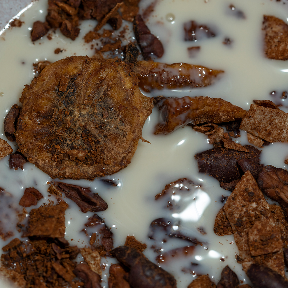 Cacao Craving Dried Fruit Infusion
